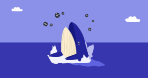 Aqui estão as principais razões pelas quais as baleias estão acumulando XRP