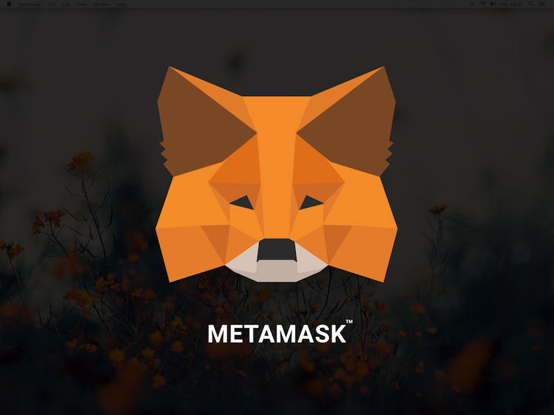 Sådan opgraderer du din Metamask Security