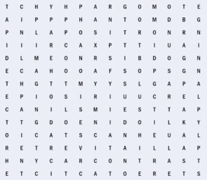 Need a challenge? Try this cryptic medical-physics word search