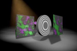 نئی تکنیک رنگین ایکس رے تصاویر کو تیزی سے اور مؤثر طریقے سے تیار کرتی ہے۔