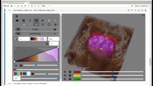 Partajați gratuit cercetarea imaginilor medicale pe Amazon SageMaker Studio Lab