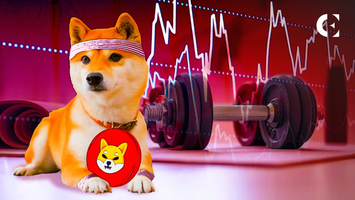 SHIB Close to Breaking into Top 10 After Outranking DOT, LTC