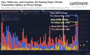 Shiba Inu și Cardano sunt martorii unei creșteri masive în tranzacțiile cu balene de peste 100,000 de dolari, spune firma de Crypto Analytics