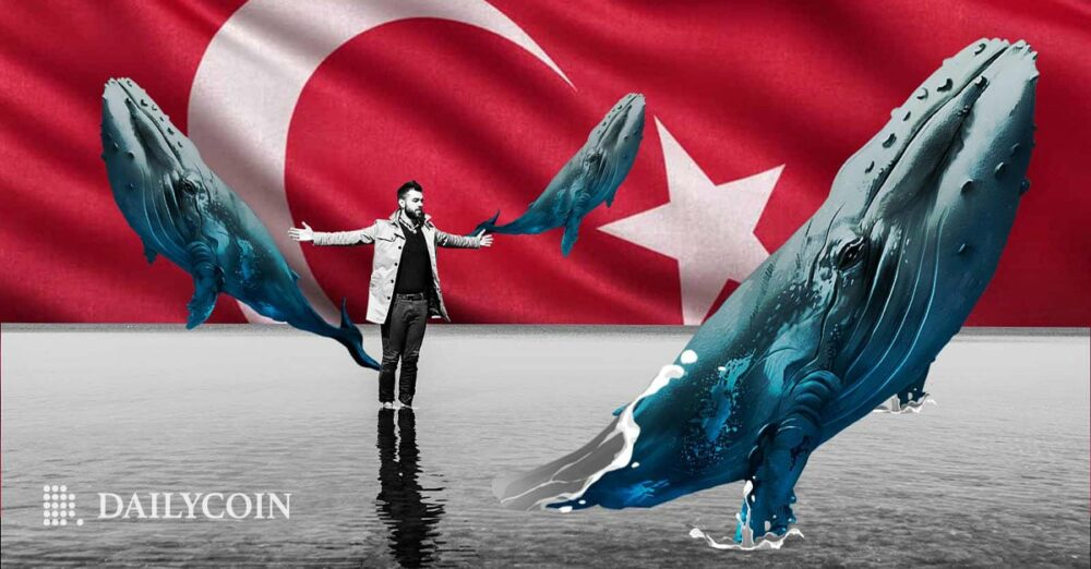 Desenvolvedor principal de Shiba Inu (SHIB) pede que as baleias ajudem a Turquia