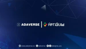 Adaverse Accelerator 在非洲的影响