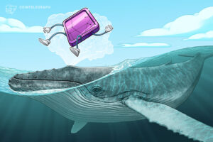 Whale, '사상 최대 규모의 NFT 덤프'에서 1,010시간 만에 48개의 NFT 판매