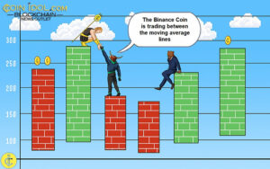 Binance Coin está en un rango estrecho por debajo de $ 320 de alto