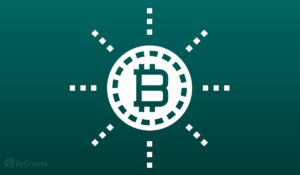 يؤكد ماثيو كراتر الحد الأقصى من Bitcoin على قيمة 1 مليون دولار لـ BTC ، ويعارض توقعات Balaji
