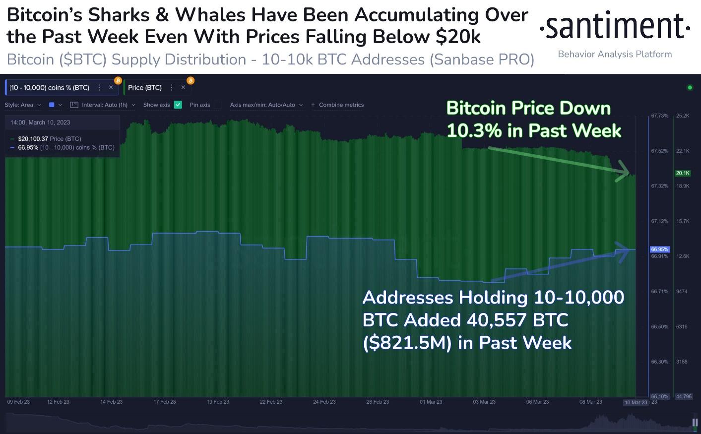 Giá bitcoin giảm tạo ra khoảnh khắc “Mua giá thấp” khổng lồ cho cá voi khi việc tích lũy BTC nâng cao trí thông minh dữ liệu PlatoBlockchain. Tìm kiếm dọc. Ái.
