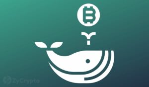 Bitcoin-kursfald antænder kæmpe "Buy The Dip"-øjeblikket for hvaler, efterhånden som BTC-akkumulationen stiger