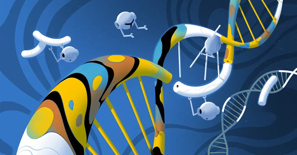 Comment un "parasite" de l'ADN peut avoir fragmenté nos gènes