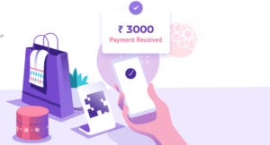 인도의 PhonePe, 월마트로부터 200달러 투자 유치