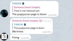 Er ontstaan ​​speculaties over inkomende documenten terwijl ontwikkelaars aan de Shibarium Puppyscan-pagina werken