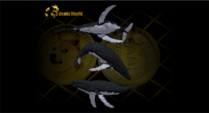 A bálnák hirtelen 195,231,414 XNUMX XNUMX dollárt költöztek el a Shiba Inu Rival és a Bitcoin között a legjobb kriptotőzsdéről a piaci turbulencia közepette