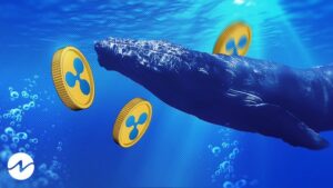 Whales Move Millions of XRP Tokens Amid Recent Court Ruling