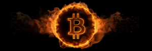 Was sind Bitcoin-Ordnungszahlen? Eine vollständige Anleitung