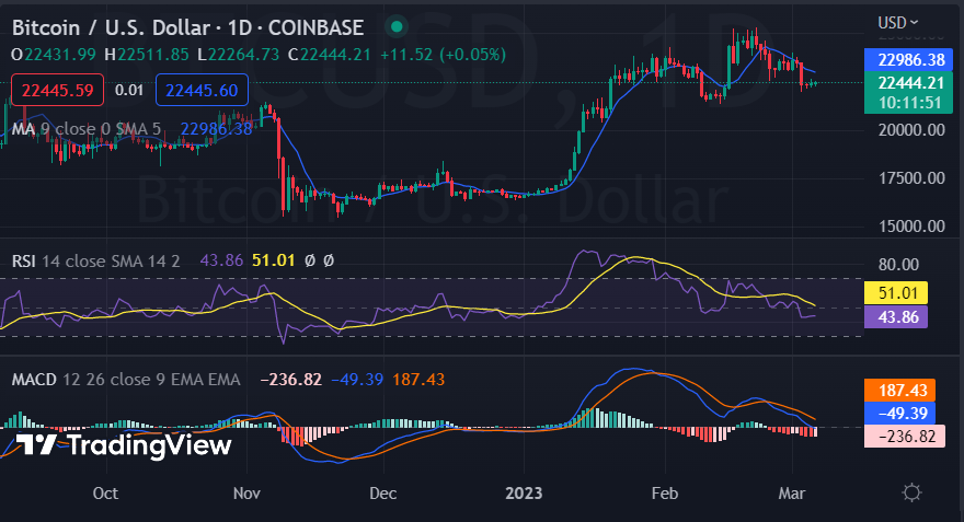 نمودار 1 روزه بیت کوین/دلار، منبع: Tradingview