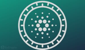 66% Of ADA Now Held by Retail Investors, Reflecting Strong Faith in Cardano’s Growth