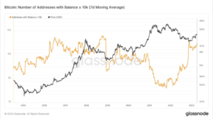 Bitcoin đứng vững trên 28,000 đô la bất chấp áp lực giảm giá-Có phải một thị trường tăng giá đang diễn ra?