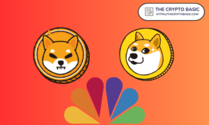 CNBC bada potencjał Shiba Inu, aby przewyższyć Dogecoin