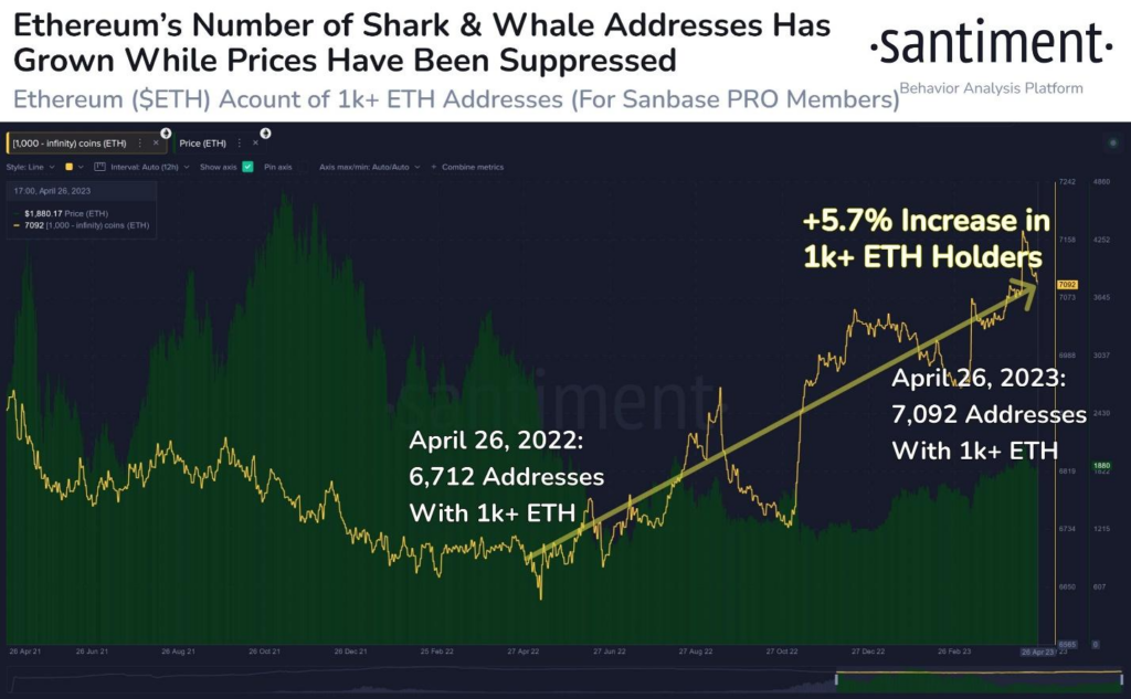 Το Ethereum νομισματοκοπεί περισσότερους καρχαρίες και φάλαινες μέσα σε μειωμένες τιμές PlatoBlockchain Data Intelligence. Κάθετη αναζήτηση. Ολα συμπεριλαμβάνονται.