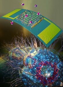 Mikrobielle nanotråde skaber 'elektronisk næse' til sundhedsovervågning