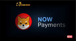 Shiba Inu and NOWPayments—More Ways to Spend Your SHIB