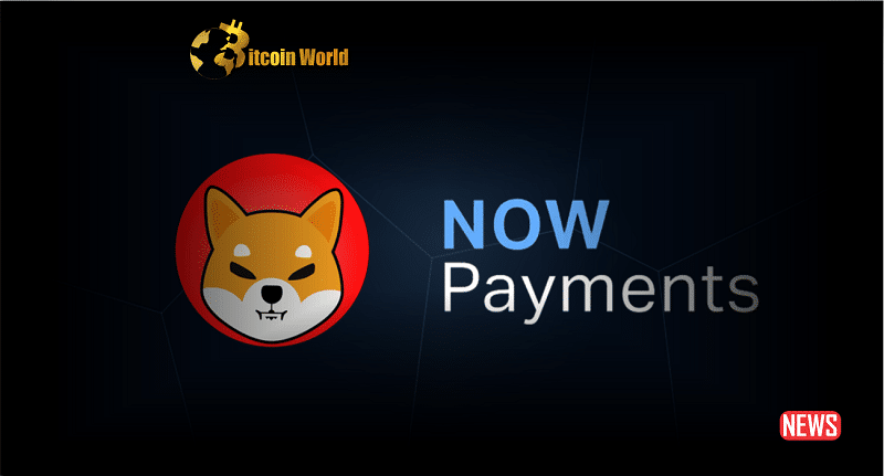 Shiba Inu and NOWPayments—More Ways to Spend Your SHIB binance pay PlatoBlockchain Data Intelligence. Vertical Search. Ai.