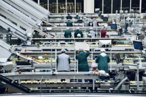 Supply Chain Automation: The Complete Guide
