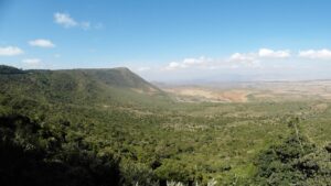 Startup Ini Ingin Menyuntikkan CO2 yang Ditangkap Langsung ke Batuan Vulkanik di Kenya