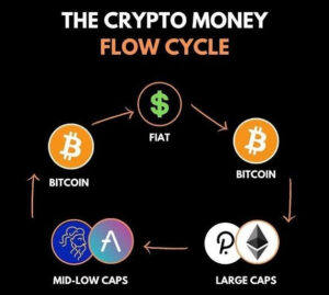 Uncertainty in crypto cycles from Memecoins & NFTs