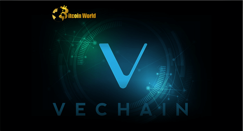 VeChain [VET] Wavers in the NFT Space – Can This Launch Turn Things Around  VeChain PlatoBlockchain Data Intelligence. Vertical Search. Ai.