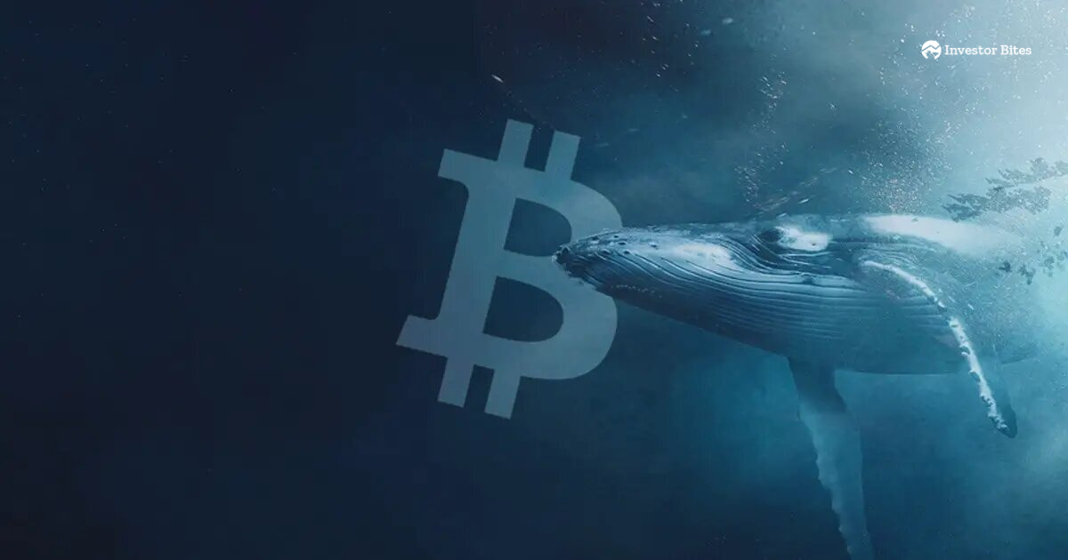 Whale Address prejme ogromnih 23,500 bitcoinov v osupljivem prenosu premoženja