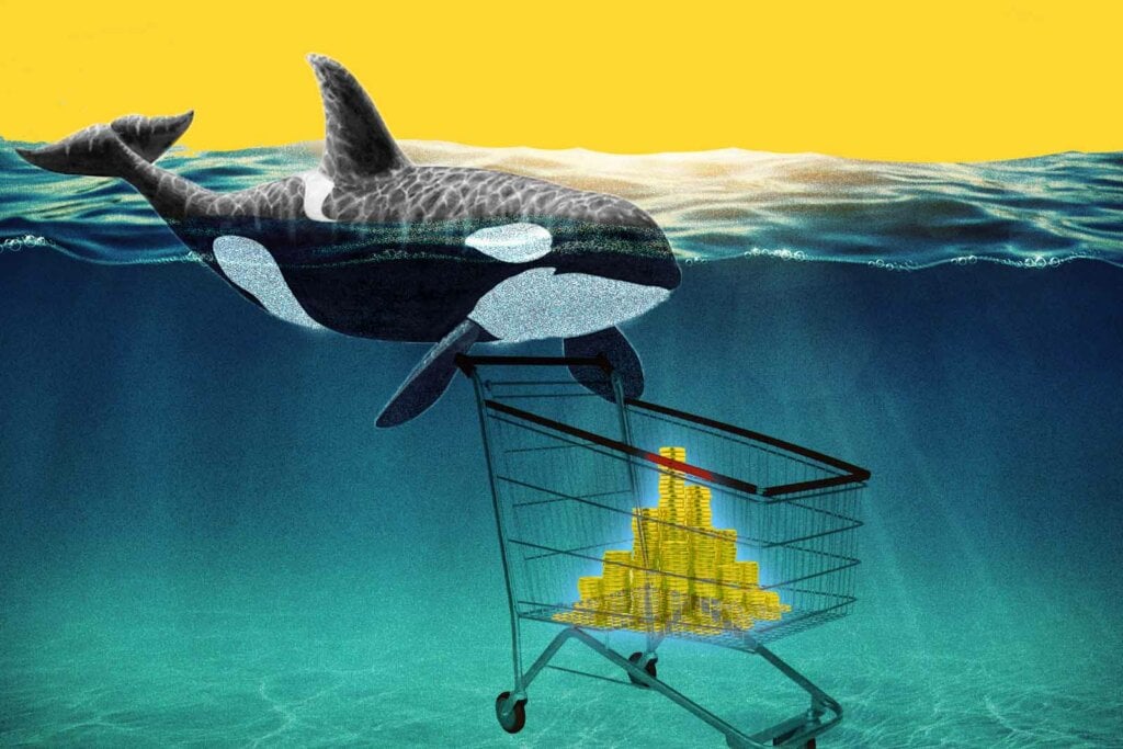 Крипто-киты с тележкой для покупок покупают криптомонеты под водой.