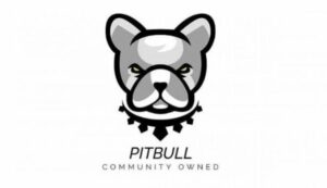 What is Pitbull – How to hold PIT and gain profit