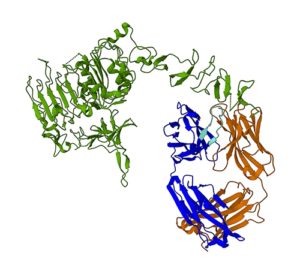 Percepat prediksi struktur protein dengan model bahasa ESMFold di Amazon SageMaker