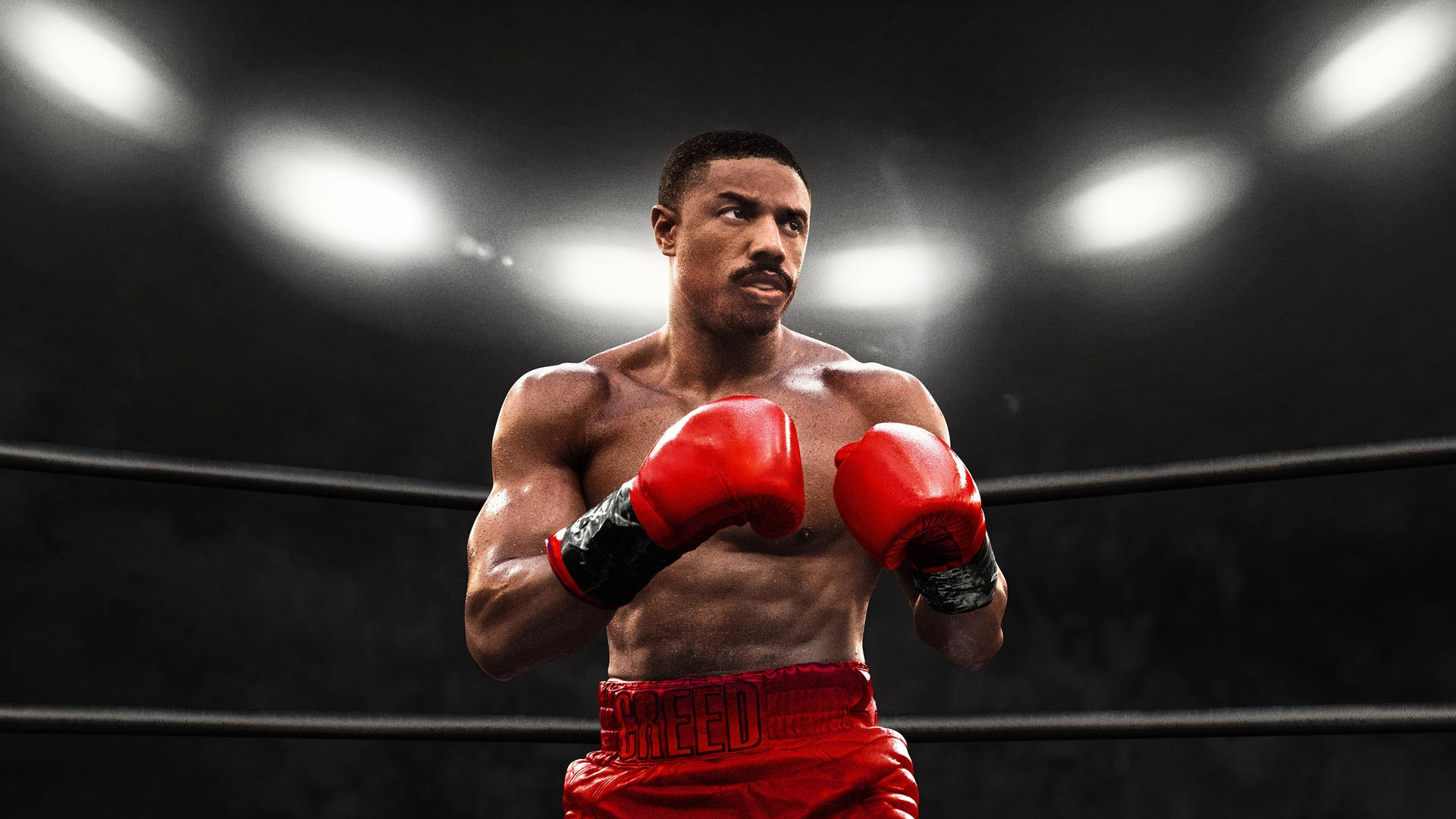 Arcade Boxer ‘Creed: Rise to Glory’ Takes Top Spot in PSVR 2 Download Chart PlatoBlockchain Data Intelligence. Vertical Search. Ai.