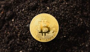 Avorak AI garante acordo OTC massivo com minerador privado de Bitcoin