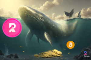 Noticias de Bitcoin: Las ballenas BTC desde el máximo reciente han comprado $ 1.8 mil millones, y RenQ Finance (RENQ) llega a la última etapa de su preventa