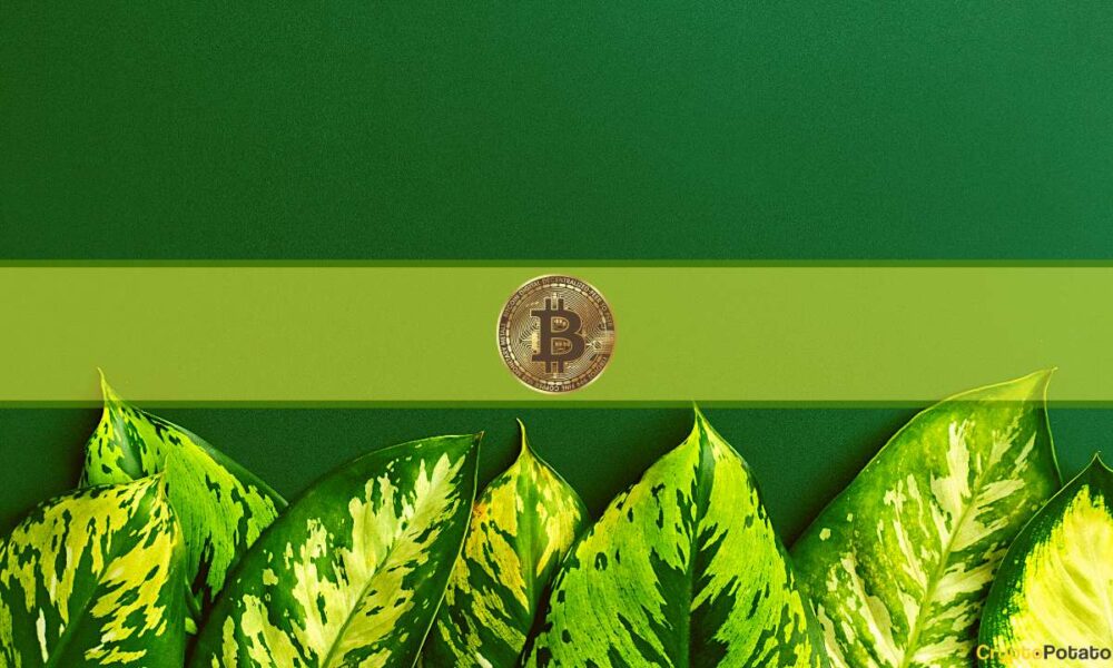 Bitcoin'in Bir Sonraki Hedefi 36,000 Dolara Yakın: Matrixport Verileri