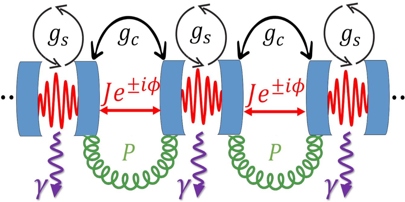 Angetrieben-dissipative topologische Phasen in parametrischen Resonator-Arrays