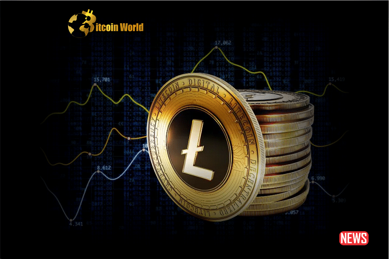 Litecoin heeft het potentieel om 700% te verzamelen tegen Bitcoin, zegt de maker Charlie Lee