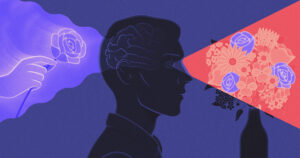 Anılar Beynin Hatırlamaya Değer Yeni Olayları Tanımasına Yardımcı Olur | Quanta Dergisi