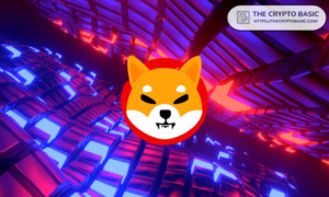 Shiba Inu Lead Developer Mocks BitBoy for His Inexperience