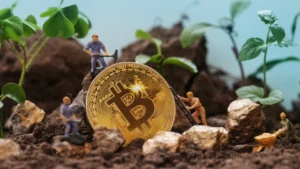 The Environmental Impact of Cryptocurrency Mining