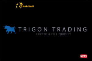 TrigonX: রাইজিং ফ্রম দ্য অ্যাশেস - অস্ট্রেলিয়ান ক্রিপ্টো এক্সচেঞ্জ FTX পতনের পরে পুনরায় চালু হবে - BitcoinWorld