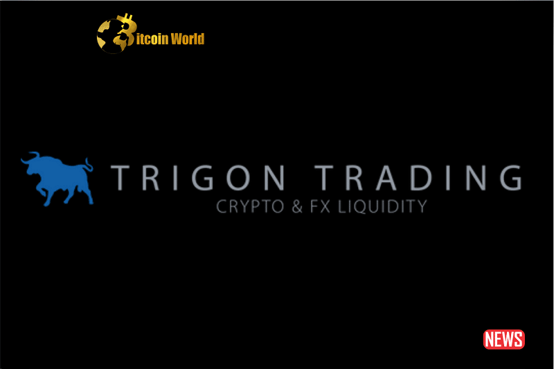TrigonX: Rising from the Ashes – Australische Krypto-Börse wird nach dem Zusammenbruch von FTX neu gestartet – BitcoinWorld