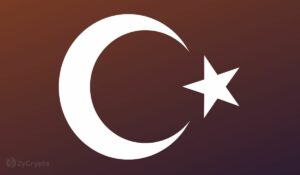 Turkey Takes the Lead: Crypto Ownership Surges by 27%, Making it the Fastest-Growing Crypto Market