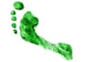 zöld lábnyom műalkotás