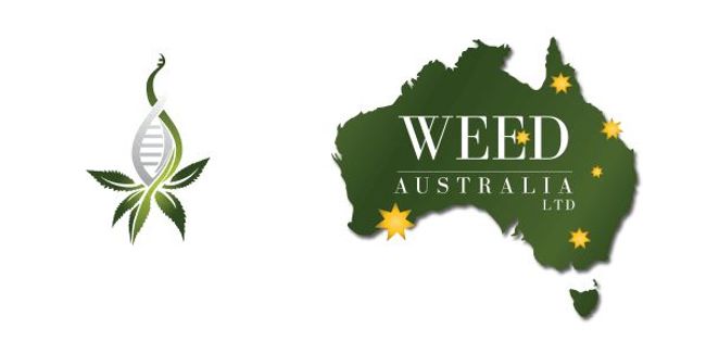 WEED Australia Ltd dengan bangga mengumumkan penunjukan Ibu Amanda Brunskill-Scott dan Ibu Nicole Breen sebagai Anggota Dewan Direksi kami PlatoBlockchain Data Intelligence. Pencarian Vertikal. Ai.